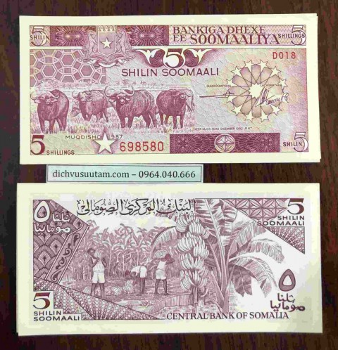 Tiền Somalia 5 Shillings con trâu