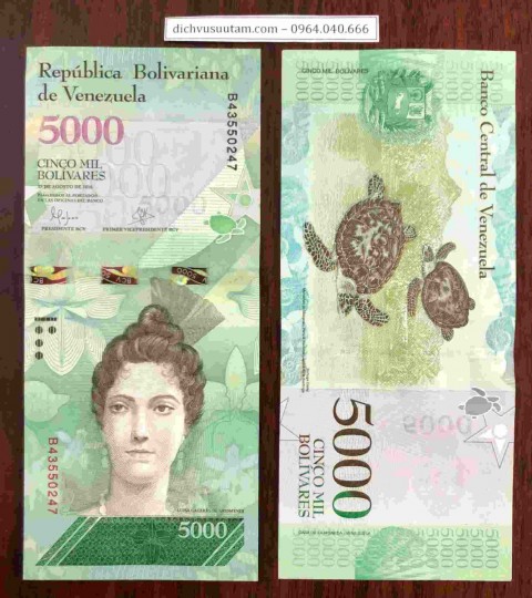 Tiền lạm phát Venezuela 5000 Bolivares con rùa
