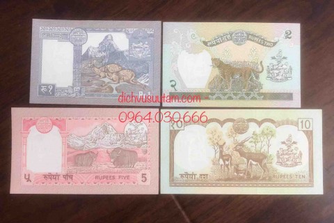 Bộ tiền Nepal 4 tờ khác nhau
