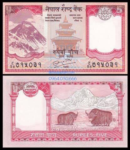 Tiền Nepal 5 rupees 2 con trâu