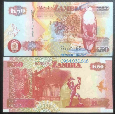 Tiền Cộng hòa Zambia 50 kwacha con ngựa vằn