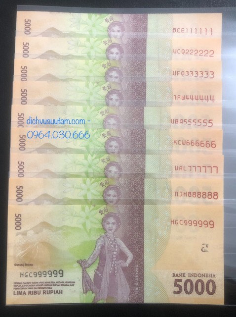Bộ 9 tờ tiền số đjep Indonesia seri lục quý 111111 tới lục quý 999999 mệnh giá 5000 rupiah