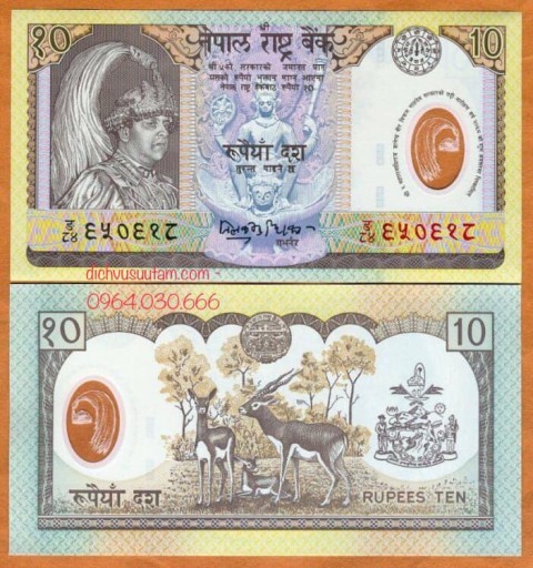Tiền Nepal 10 rupees polymer