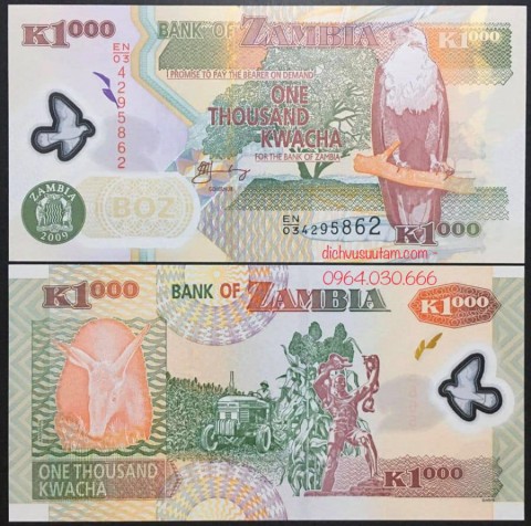 Tiền Cộng hòa Zambia 1000 kwacha polymer