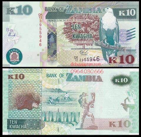 Tiền Cộng hòa Zambia 10 kwacha con nhím