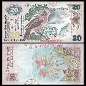 Tiền xưa Srilanka 20 rupees con chim 1979