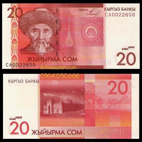 Tiền Kyrgyzstan 20 som