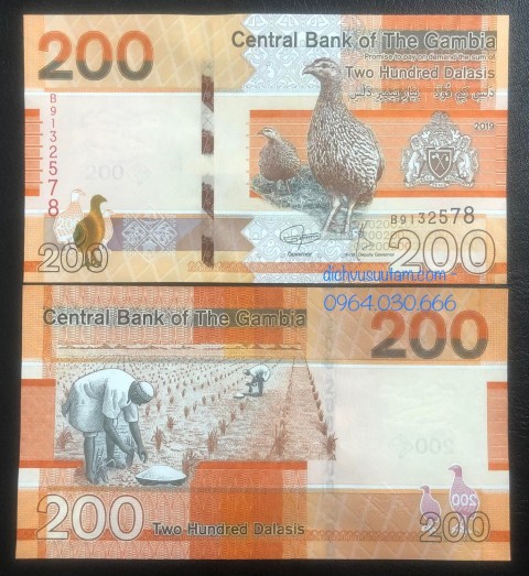 Tiền Cộng hòa Gambia 200 dalasis phiên bản mới