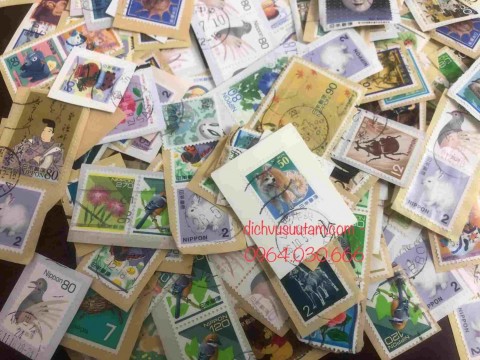 Combo 50 con tem Nhật Bản khác nhau chủ đề động vật