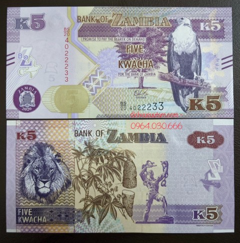 Tiền Cộng hòa Zambia 5 kwacha phiên bản mới
