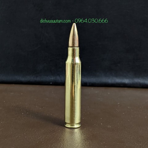 Mô hình đạn trung bày AR15