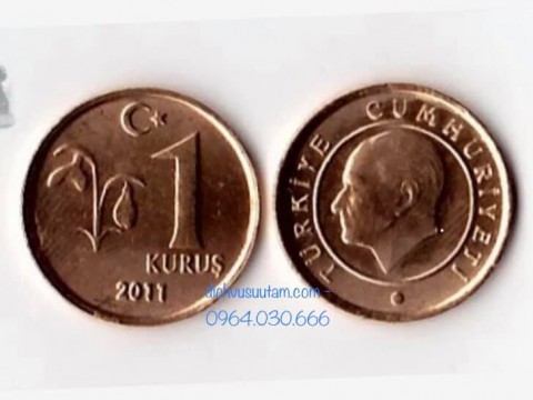 Xu Cộng hòa Thổ Nhĩ Kỳ 1 kurus 16.5mm