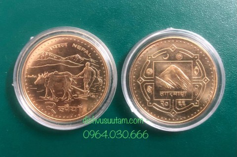 Đồng xu con Trâu vàng Nepal, tuổi Sửu sưu tầm