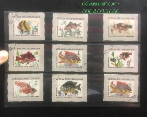 Bìa tem Việt Nam Dân Chủ Cộng hòa chủ đề loài cá 9 con tem khác nhau
