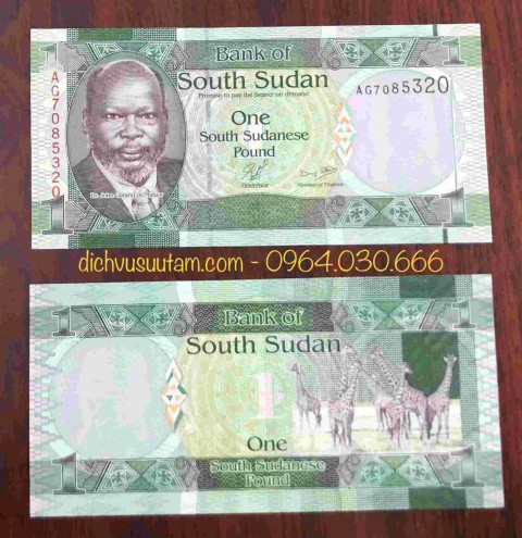 Tiền Nam Sudan 1 bảng