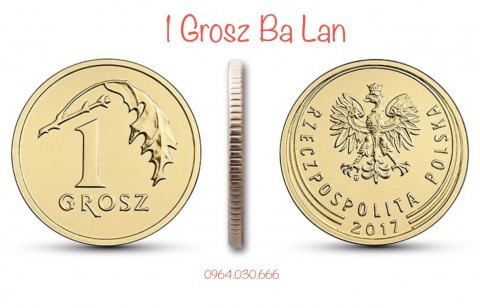 Đồng xu Ba Lan 1 Grosz 16.2mm