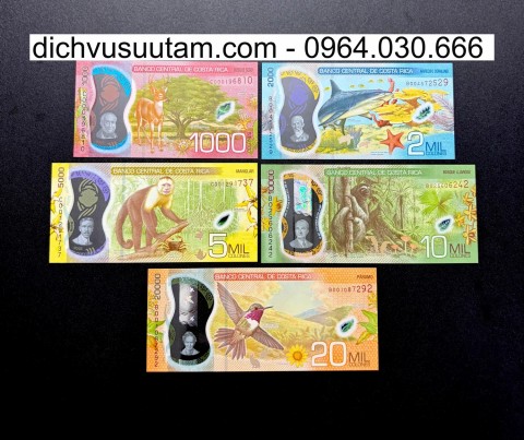 Bộ tiền polymer lưu hành Costa Rica 5 mệnh giá khác nhau sưu tầm