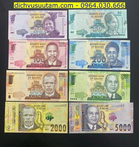 Bộ tiền lưu hành Malawi 8 tờ khác nhau sưu tầm
