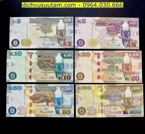 Bộ tiền Zambia 6 tờ khác nhau sưu tầm