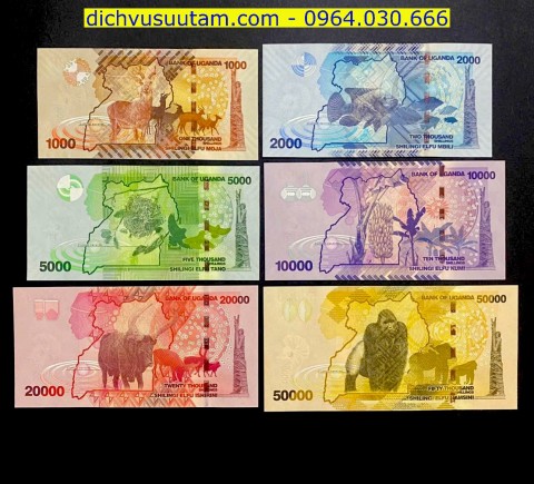 Bộ tiền lưu hành Uganda 6 tờ khác nhau sưu tầm